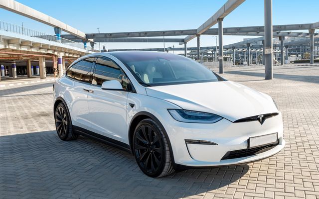 Tesla Model X – Picture 1