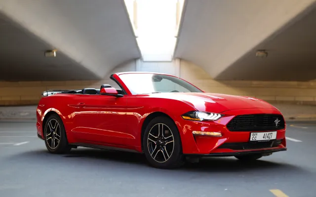Ford Mustang - image 1