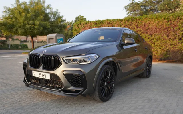 BMW X6 50i - image 3