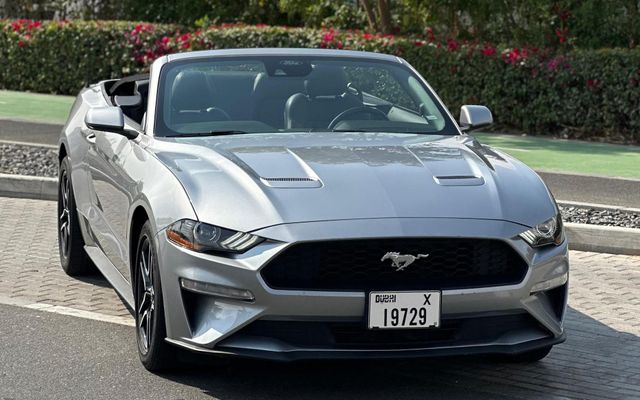 FORD MUSTANG - image 1