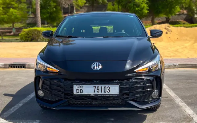 MG 3 - image 3