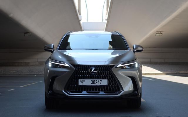 Lexus NX250 - image 3