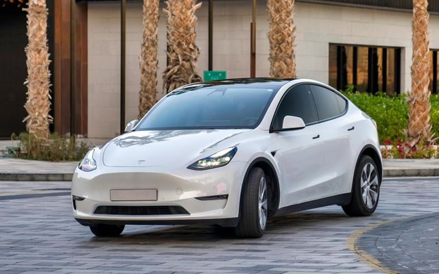 TESLA MODEL Y LONG - image 1