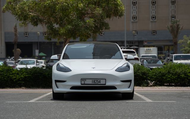 Tesla Model 3 - image 3