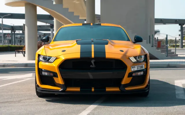 Ford Mustang GT500 Shelby - image 3