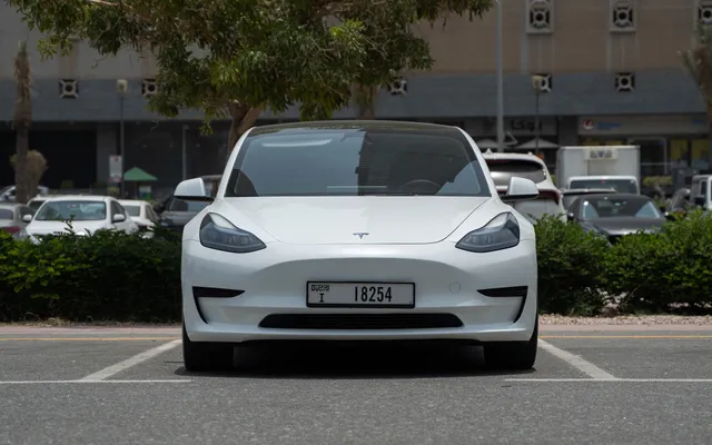 Tesla Model 3 Standard - image 3