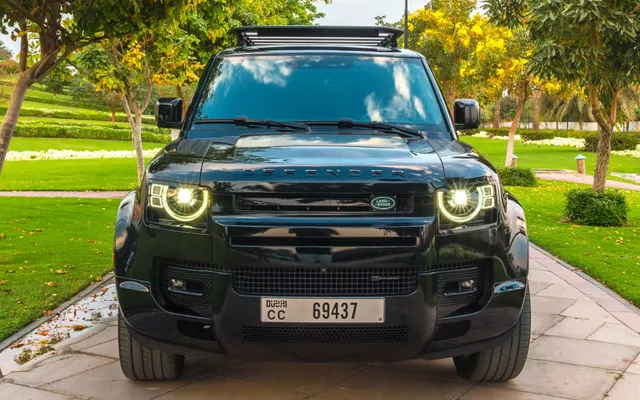 Land Rover Defender - image 2
