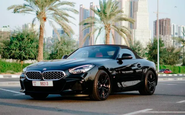 BMW Z4 - image 1