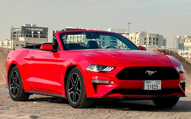 Ford Mustang - image 1