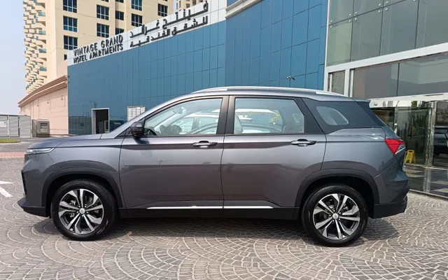 CHEVROLET CAPTIVA - image 2
