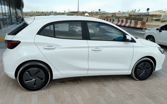 MG 3 - image 3