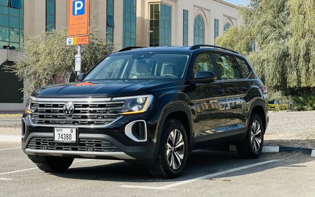 VOLKSWAGEN TERAMONT - image 1
