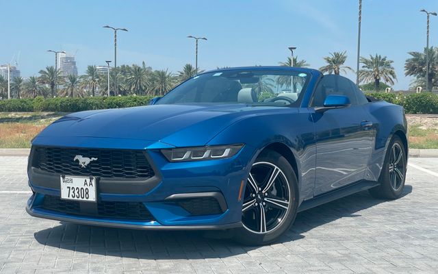 Ford Mustang - image 1