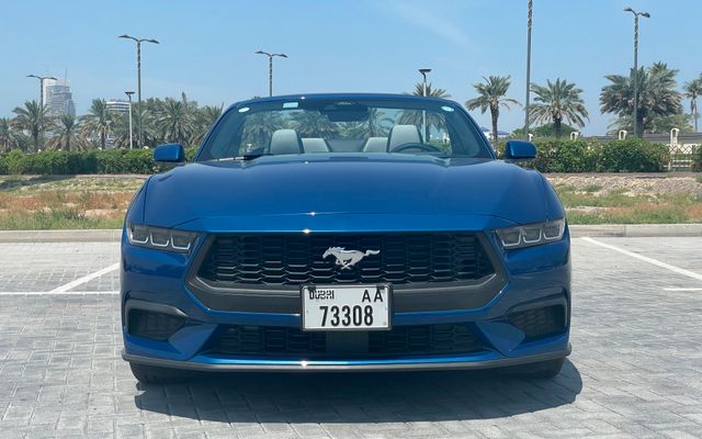 Ford Mustang - image 3