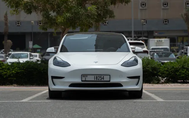 Tesla Model 3 Standard - image 3