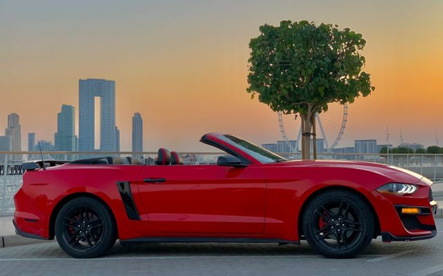 FORD MUSTANG-R - image 2
