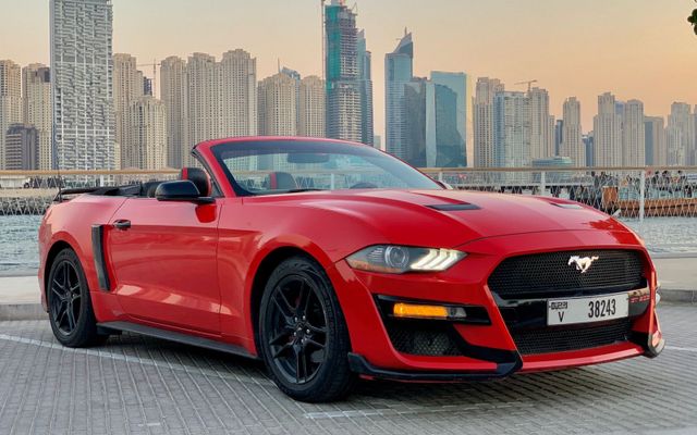 FORD MUSTANG-R - image 4