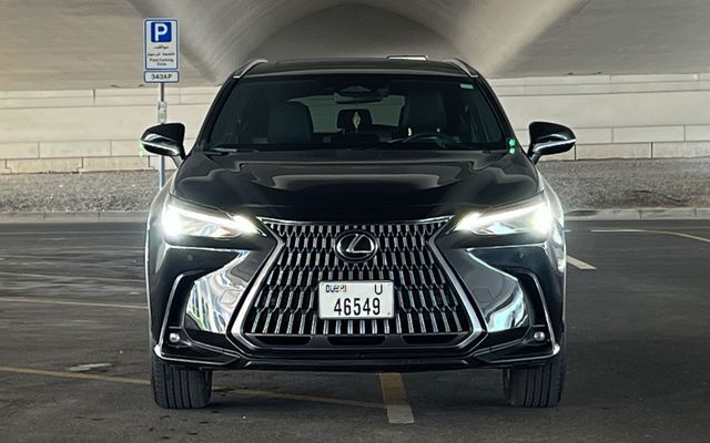 Lexus NX 250 - image 3