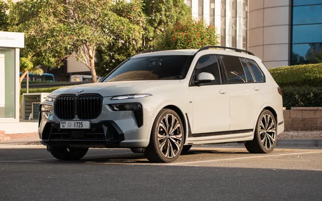BMW X7 - image 1