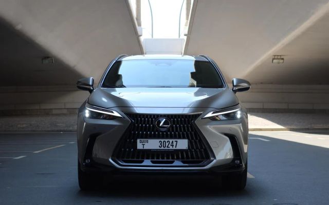 Lexus NX250 - image 3