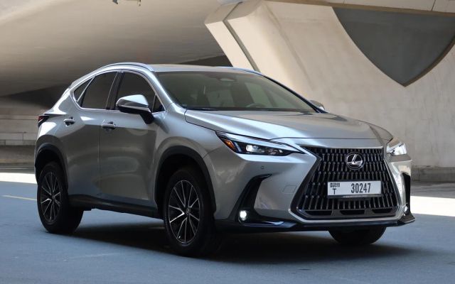 Lexus NX250 - image 4