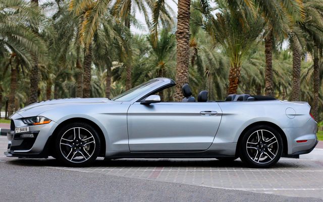 FORD MUSTANG - image 2