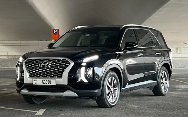 Hyundai Palisade - image 1