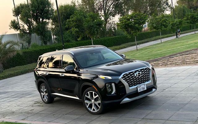 Hyundai Palisade - image 1