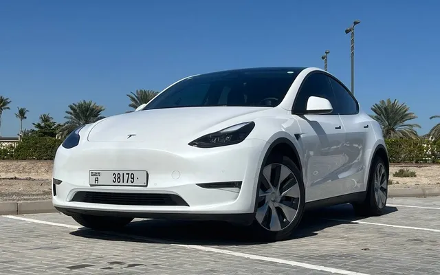 Tesla Model Y - image 1