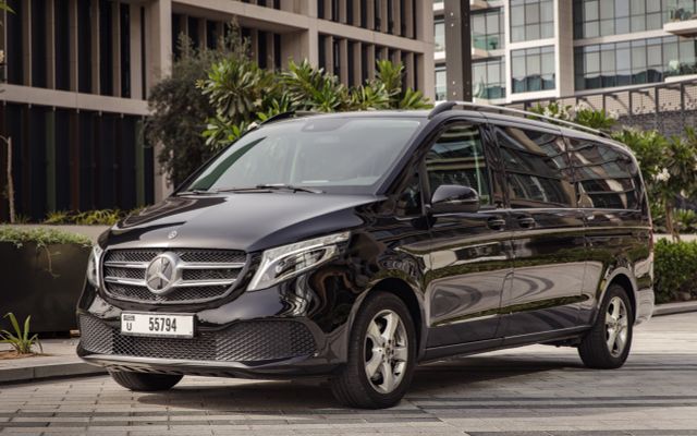 Mercedes Viano - image 1