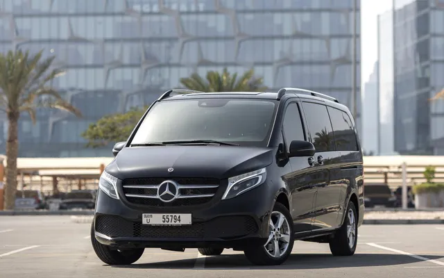 Mercedes Viano - image 4