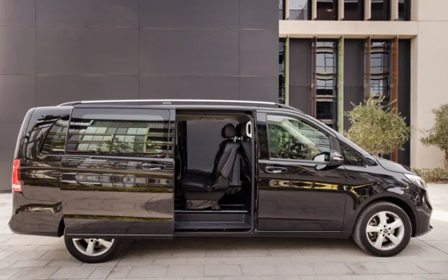 Mercedes Viano - image 3