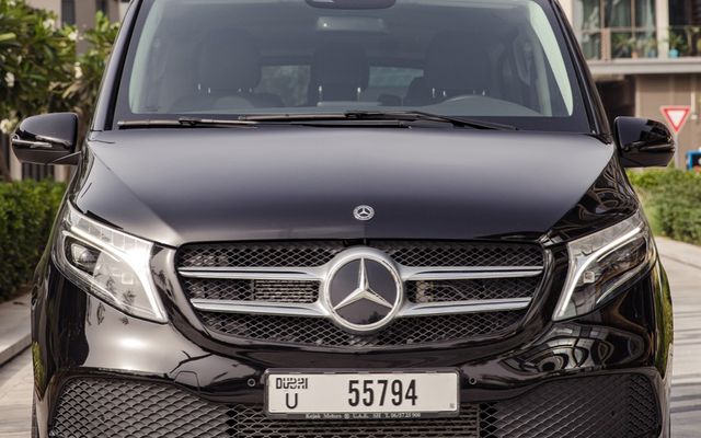 Mercedes Viano - image 2