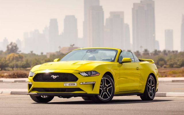 Ford Mustang - image 1
