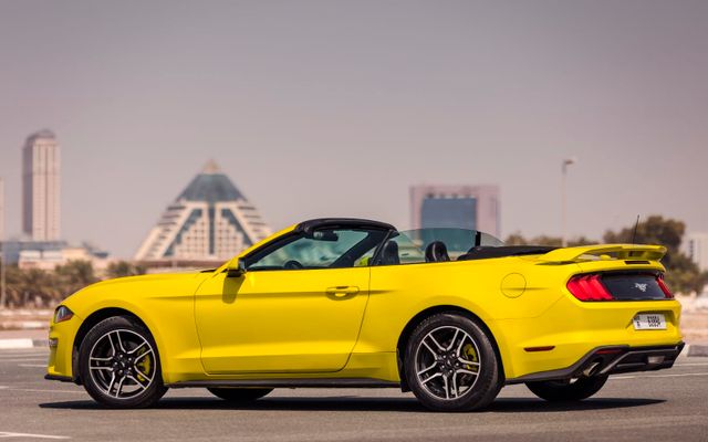 Ford Mustang - image 3