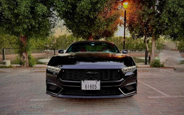 Ford Mustang - image 2
