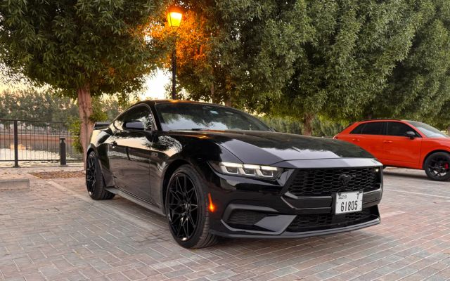 Ford Mustang - image 3