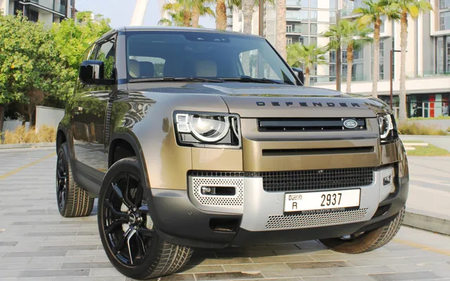 LAND ROVER DEFENDER - image 2