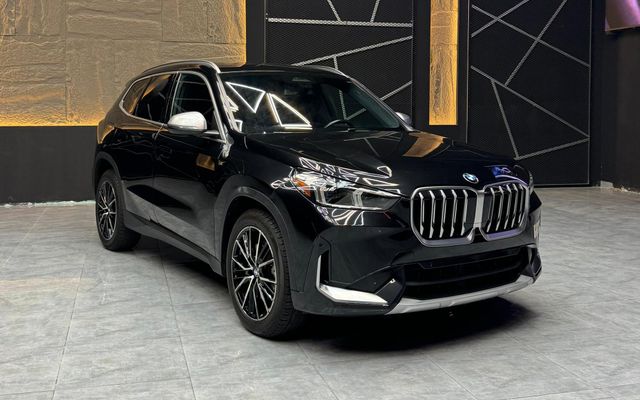 BMW X1 - image 3