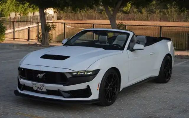 Ford Mustang - image 1