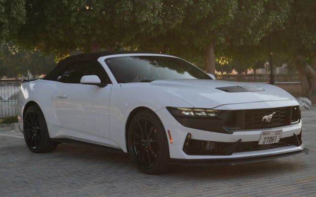 Ford Mustang - image 3