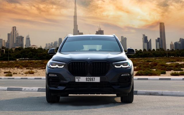 BMW X5 Gray - image 2