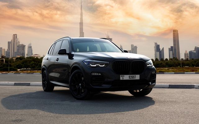 BMW X5 Gray - image 1