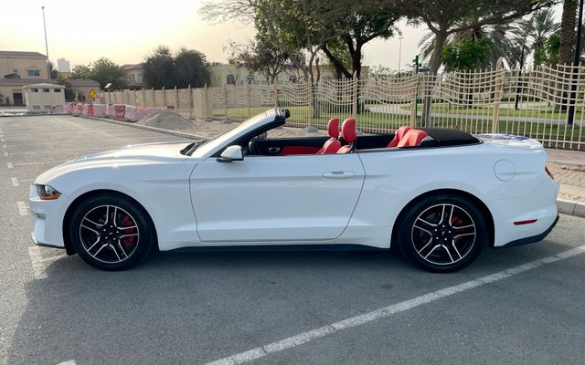 Ford Mustang Cabrio - image 2