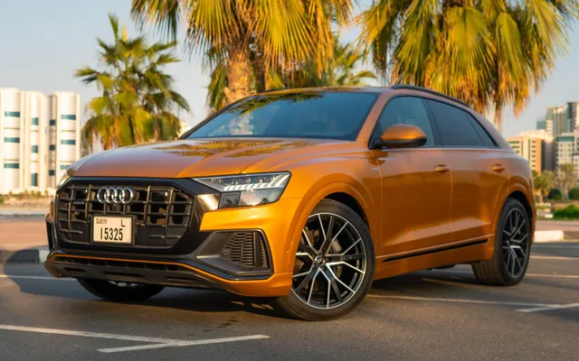 AUDI Q8 – Picture 1