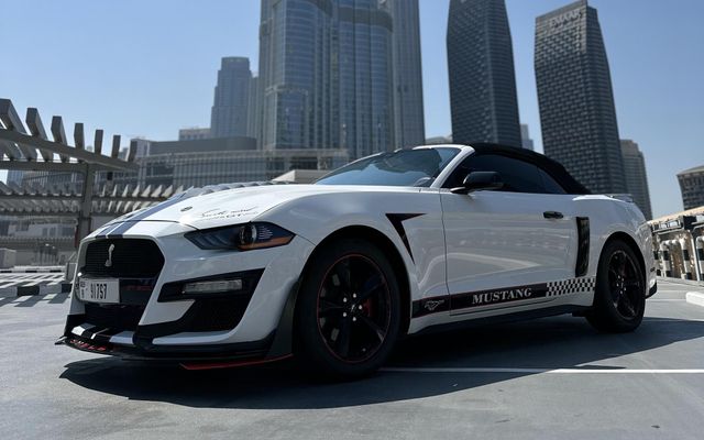 Ford Mustang - image 1