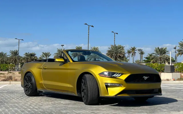 Ford Mustang - image 4