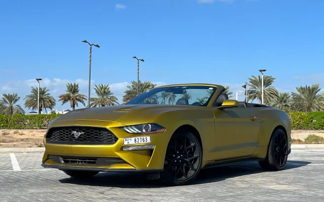 Ford Mustang - image 1