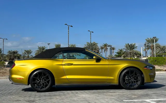 Ford Mustang - image 2
