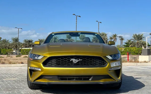 Ford Mustang - image 3